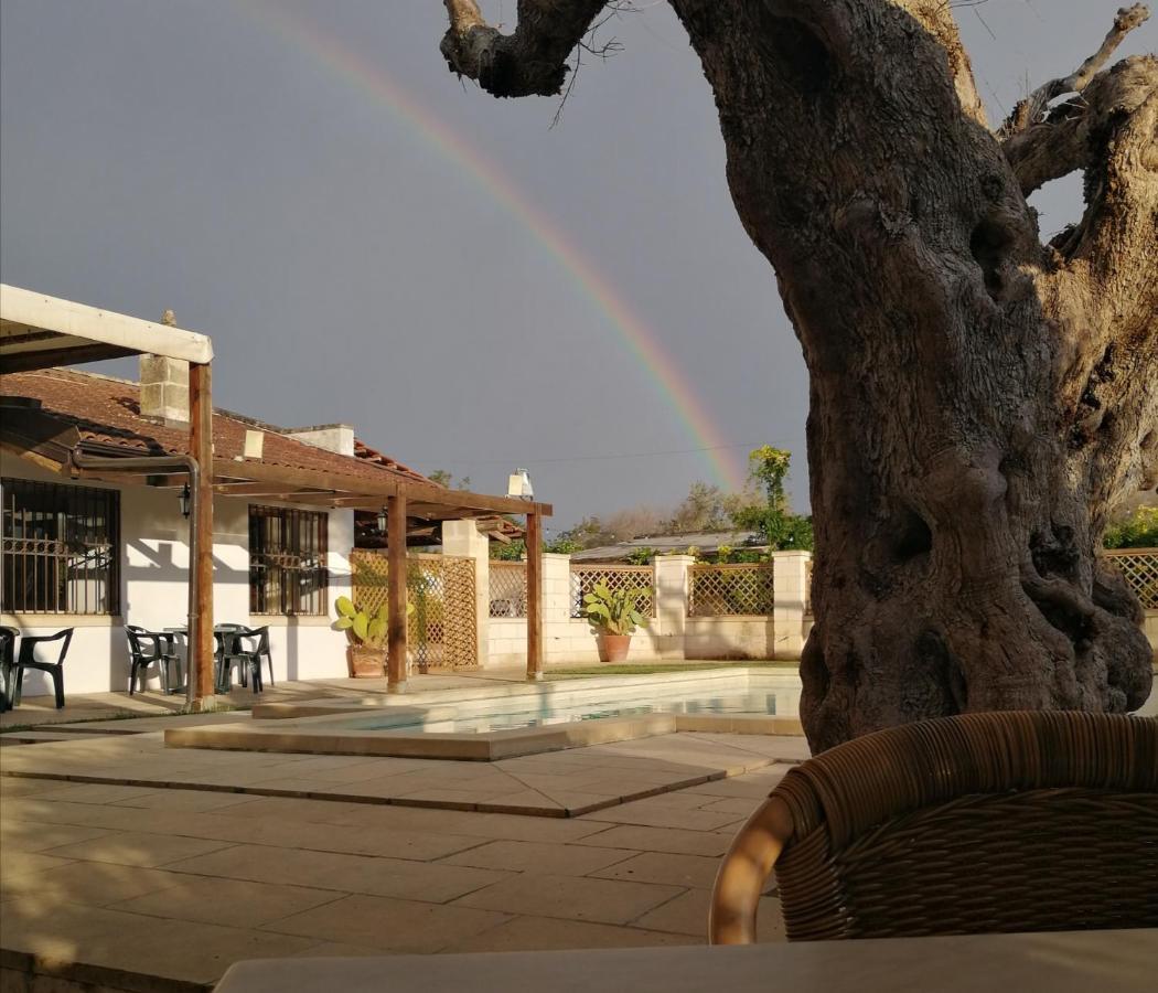 Hotel Casasalento Cavallino di Lecce Exterior foto